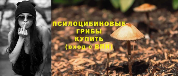 2c-b Абинск